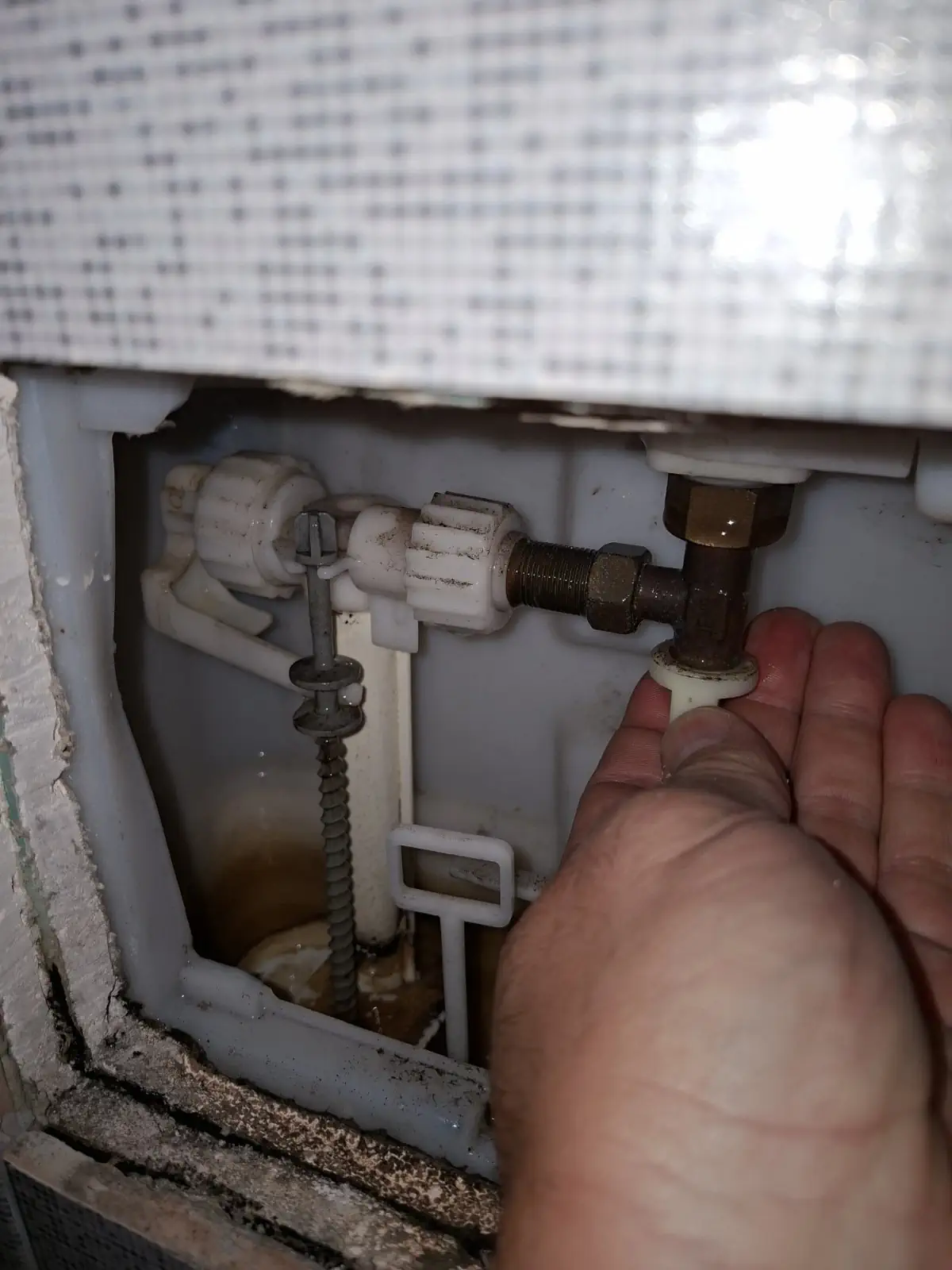 Вграждане на структура